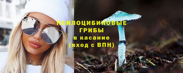 спайс Елабуга