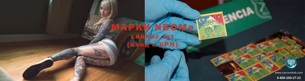 PSILOCYBIN Елизово