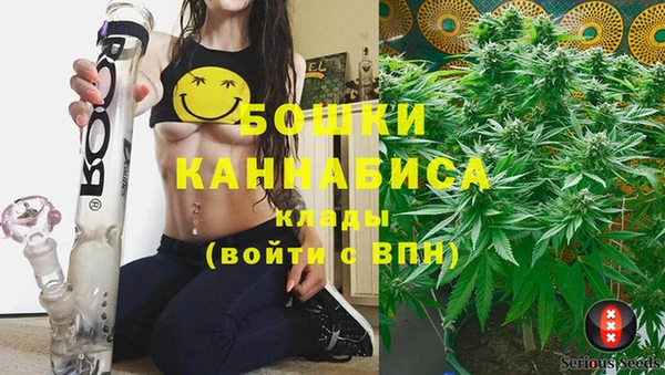 PSILOCYBIN Елизово