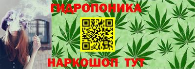 mix Мариинск