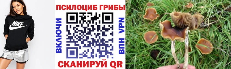 Псилоцибиновые грибы GOLDEN TEACHER  цена наркотик  Грозный 