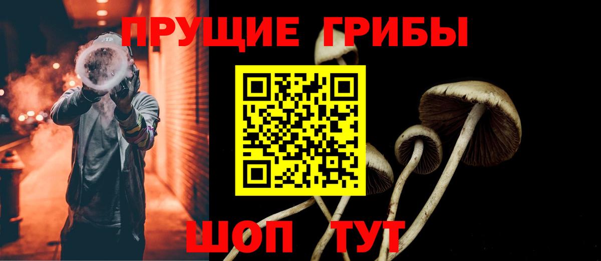Грозный  Галлюциногенные грибы Magic Shrooms  Галлюциногенные грибы Magic Shrooms  Вход с VPN 